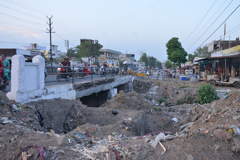 naidunia_image